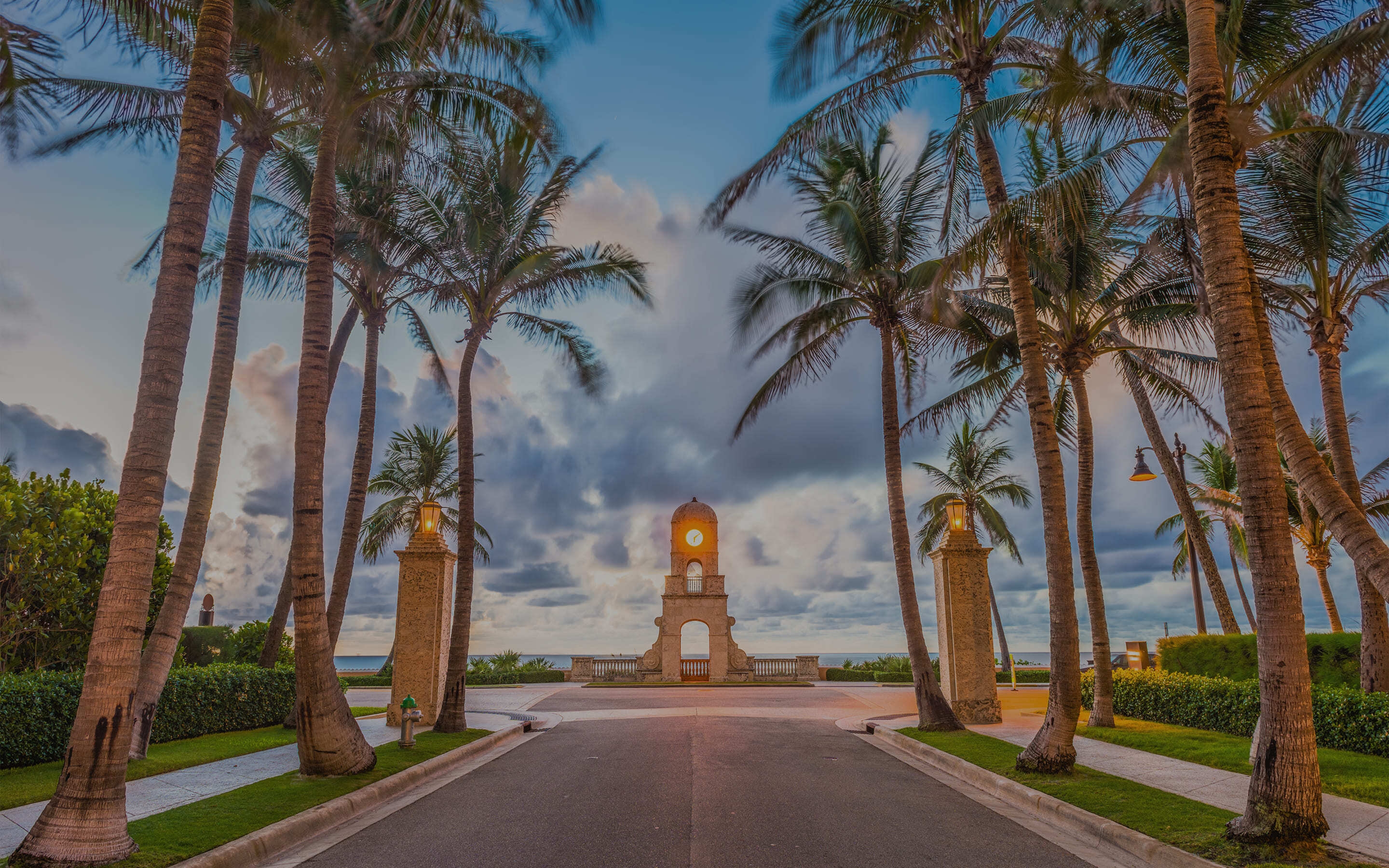 Palm Beach Royals Hero Background